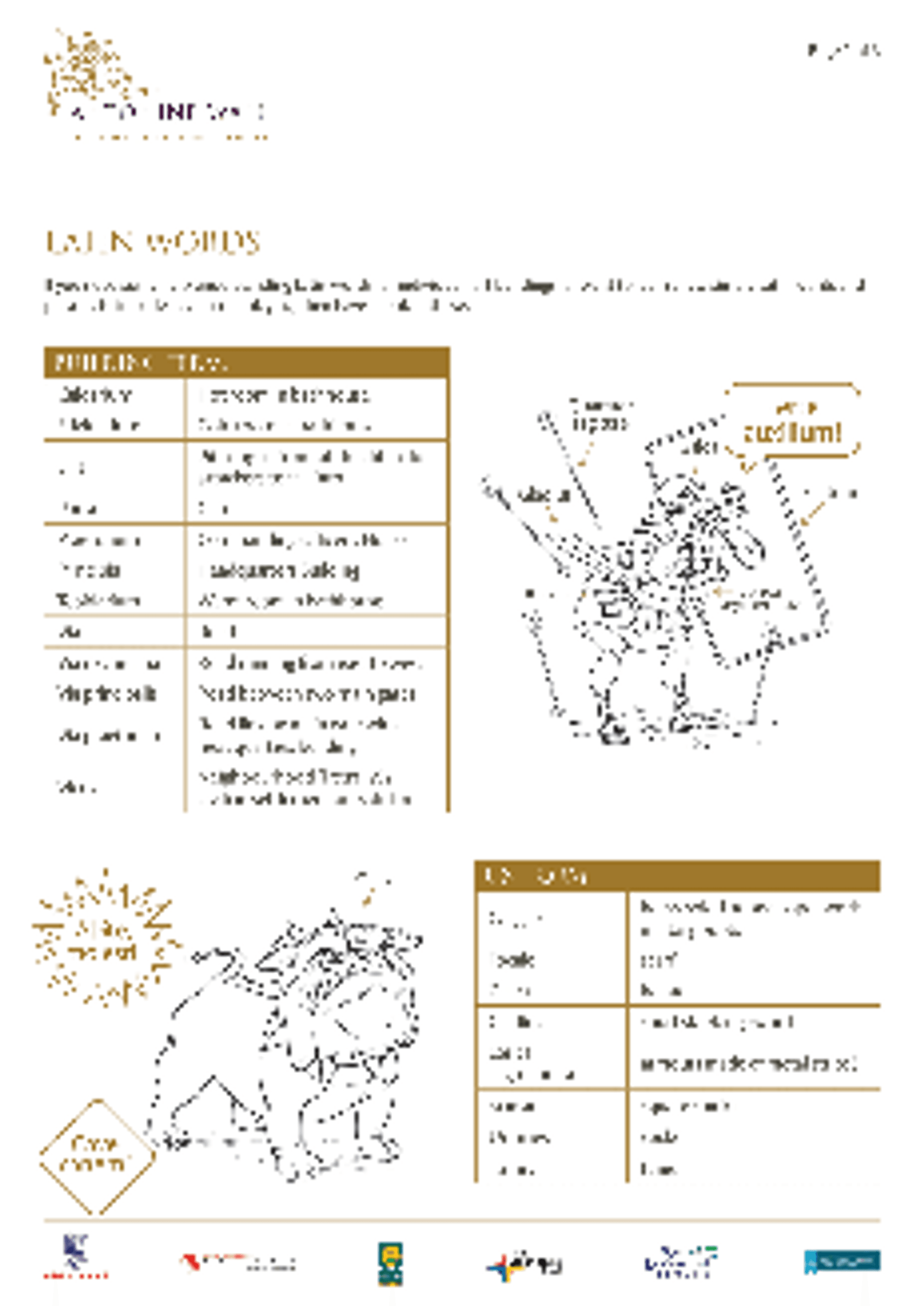 HS Latin Words Worksheet AW 1 HS Latin Words Worksheet AW 1